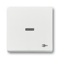 2CKA001751A3163 Клавиша для механизма 1-клавишного выключателя/переключателя/кнопки, с прозрачной линзой, c символом 