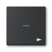 2CKA001751A3164 Клавиша для механизма 1-клавишного выключателя/переключателя/кнопки, с прозрачной линзой, c символом 