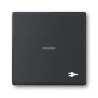 2CKA001751A3164 Клавиша для механизма 1-клавишного выключателя/переключателя/кнопки, с прозрачной линзой, c символом 