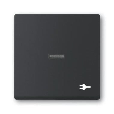 2CKA001751A3164 Клавиша для механизма 1-клавишного выключателя/переключателя/кнопки, с прозрачной линзой, c символом 