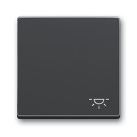 2CKA001751A3186 Клавиша для механизма 1-клавишного выключателя/переключателя/кнопки, c символом 