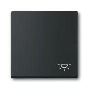 2CKA001751A3193 Клавиша для механизма 1-клавишного выключателя/переключателя/кнопки, c символом 