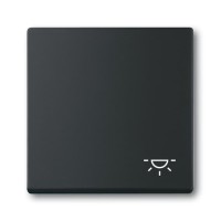 2CKA001751A3193 Клавиша для механизма 1-клавишного выключателя/переключателя/кнопки, c символом 