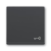 2CKA001751A3196 Клавиша для механизма 1-клавишного выключателя/переключателя/кнопки, c символом 