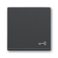 2CKA001751A3196 Клавиша для механизма 1-клавишного выключателя/переключателя/кнопки, c символом 