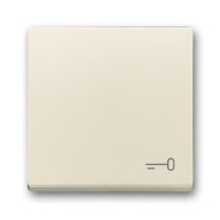 2CKA001751A3197 Клавиша для механизма 1-клавишного выключателя/переключателя/кнопки, c символом 