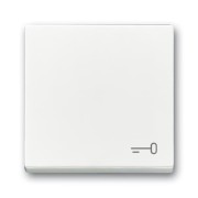 2CKA001751A3199 Клавиша для механизма 1-клавишного выключателя/переключателя/кнопки, c символом 