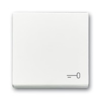 2CKA001751A3199 Клавиша для механизма 1-клавишного выключателя/переключателя/кнопки, c символом 