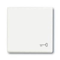 2CKA001751A3201 Клавиша для механизма 1-клавишного выключателя/переключателя/кнопки, c символом 