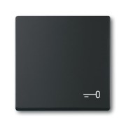 2CKA001751A3202 Клавиша для механизма 1-клавишного выключателя/переключателя/кнопки, c символом 