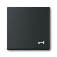 2CKA001751A3202 Клавиша для механизма 1-клавишного выключателя/переключателя/кнопки, c символом 