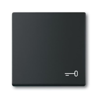 2CKA001751A3202 Клавиша для механизма 1-клавишного выключателя/переключателя/кнопки, c символом 