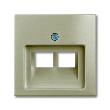 2CKA001753A0203 Плата центральная (накладка) для 2-постовой телекоммуникационной розетки 0214, 0215, 0218/12, 0220/12, 0221/12, с полем для надписи, серия Basic 55 цвет шампань