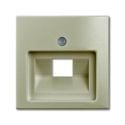 2CKA001753A0204 Плата центральная (накладка) для 1-постовой телекоммуникационной розетки 0218/11, 0220, 0221, с полем для надписи, серия Basic 55, цвет шампань