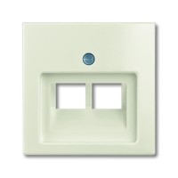 2CKA001753A0209 Плата центральная (накладка) для 2-постовой телекоммуникационной розетки 0214, 0215, 0218/12, 0220/12, 0221/12, с полем для надписи, серия Basic 55 цвет chalet-white