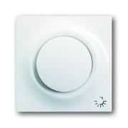 2CKA001753A4815 Клавиша для механизма 1-клавишного выключателя/переключателя/кнопки, с лампой подсветки и символом