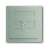 2CKA001753A8691 Плата центральная (накладка) для коммуникационных розеток с суппортами 1810, 1812, 1814, 1816 и 1818, с полем для надписи, серия impuls, цвет шампань-металлик