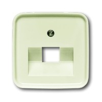 2CKA001753A8949 Плата центральная (накладка) для 1-постовой телекоммуникационной розетки 0213, 0218/11, 0220, 0221 с полем для надписи, серия Busch-Duro 2000 SI, цвет слоновая кость