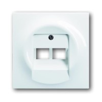 2CKA001753A9004 Плата центральная (накладка) для 2-постовой телекоммуникационной розетки 0214, 0215, 0218/12, 0220/12, 0221/12  с полем для надписи, с полем для надписи, серия impuls, цвет альпийский белый