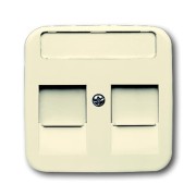 2CKA001753A9975 Плата центральная (накладка) для коммуникационных розеток с суппортами 1810, 1812, 1814, 1816 и 1818, с полем для надписи, серия Busch-Duro 2000 SI, цвет слоновая кость