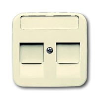 2CKA001753A9975 Плата центральная (накладка) для коммуникационных розеток с суппортами 1810, 1812, 1814, 1816 и 1818, с полем для надписи, серия Busch-Duro 2000 SI, цвет слоновая кость