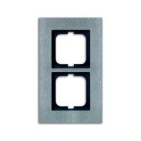 2CKA001754A4255 Рамка 2-постовая, серия Carat, сталь