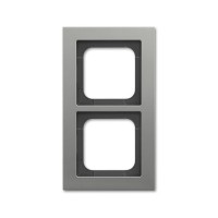 2CKA001754A4689 Рамка 2-постовая, серия Axcent, металл, цвет платина