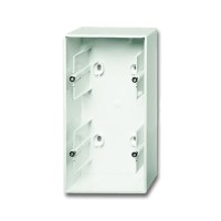 2CKA001799A0922 Коробка для открытого монтажа, 2-постовая, серия future, цвет белый бархат