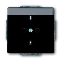 2CKA002011A3802 Розетка SCHUKO 16А 250В с полем для надписи, серия Future/Axcent/Carat/Династия, цвет антрацит