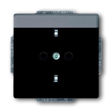 2CKA002011A3802 Розетка SCHUKO 16А 250В с полем для надписи, серия Future/Axcent/Carat/Династия, цвет антрацит