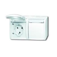 2CKA002084A0715 Розетка SCHUKO 16А 250В IP44, двойная, горизонтальная, с полем для надписи, для открытого монтажа, серия ocean, цвет альпийский белы
