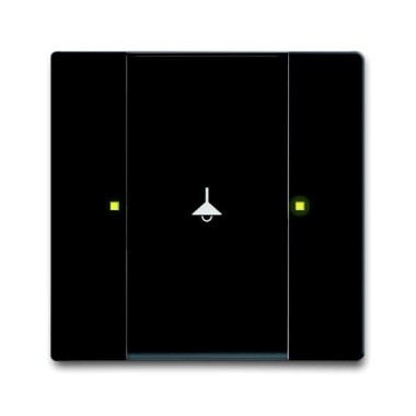 2CKA006115A0227 6125/02-885-500 Сенсор 1/2-клавишный, чёрный бархат