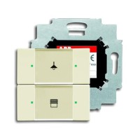 2CKA006116A0196 6126/01-82-500 Сенсор 2-клавишный с коплером в комплекте, слоновая кость