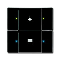 2CKA006116A0206 6126/02-81-500 Сенсор 2/4-клавишный, антарцит