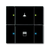 2CKA006116A0217 6126/02-885-500 Сенсор 2/4-клавишный, чёрный бархат