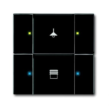 2CKA006116A0217 6126/02-885-500 Сенсор 2/4-клавишный, чёрный бархат