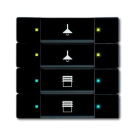 2CKA006117A0243 6127/02-885-500 Сенсор 4/8-клавишный, чёрный бархат