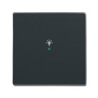 2CKA006220A0140 SRL-1-81 Клавиша одинарная free@home, освещение, future, антрацит