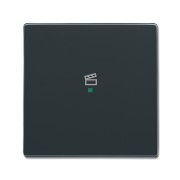 2CKA006220A0146 Клавиша одинарная, сцена, антрацит