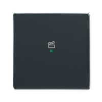 2CKA006220A0146 Клавиша одинарная, сцена, антрацит