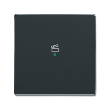 2CKA006220A0146 Клавиша одинарная, сцена, антрацит