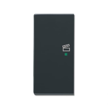 2CKA006220A0161 Клавиша дв. лев., сцена, антрацит