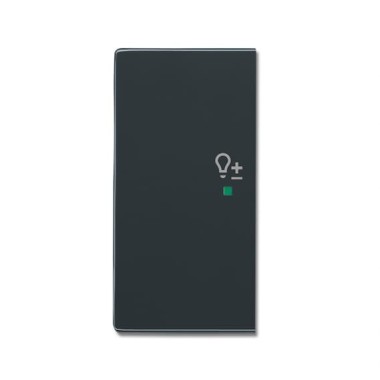 2CKA006220A0164 Клавиша дв. лев., светорег., антрацит