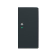 2CKA006220A0167 SRL-2-R-81 Клавиша двойная правая free@home, освещение, future, антрацит