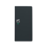 2CKA006220A0173 Клавиша дв. прав., сцена, антрацит