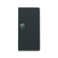 2CKA006220A0173 Клавиша дв. прав., сцена, антрацит