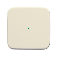 2CKA006220A0182 Клавиша одинарная, сл.кость