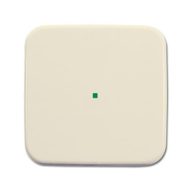 2CKA006220A0182 Клавиша одинарная, сл.кость