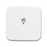 2CKA006220A0189 Клавиша одинарная, сцена, альп.