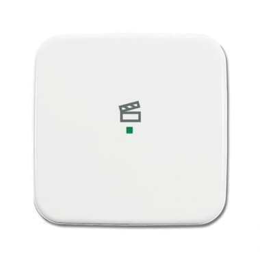 2CKA006220A0189 Клавиша одинарная, сцена, альп.